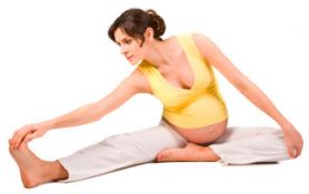 Практическое задание по теме Физические упражнения во время беременности 