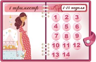 Календарь беременности по неделям