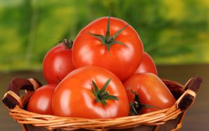 Лучшие сорта помидоров для средней полосы России
