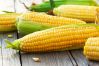 Кукуруза. Лечебные свойства и применение